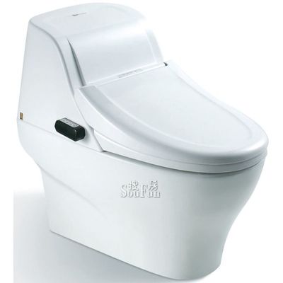 東鵬ZGWC680-T(F)003衛洗寶智能座便器 現代衛生潔具的智能之選